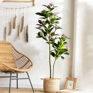 80/120cm Tropical Artificial Ficus Tree Large Fake Banyan Plants Plastic Fiddle Fig Tree Branch Real