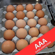 75G AAA Super Jumbo Eggs 20pcs – Extra Large, Extra Rich
