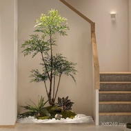 Plant Landscaping Landscape Landscaping South Sky Bamboo Model Room Under Stairs Potted Plant Indoor