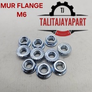 M6 Flange Nut / M6 Flange Nut Stainless SS304