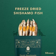 [Petfect] Freeze Dried Shishamo Fish. Pet Snack, Dog snack and Cat snack. Pet Treats