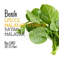 BENIH Bayam Malabar | Malabar Spinach Seeds