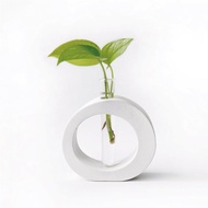 純灰系列 | 萊姆黃金葛 室內水培植栽 圓圈水泥水耕花架