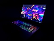 MSI微星17.3吋電競筆電i7-9750H,RTX2060-6G,24G Ram,256G SSD+1TB