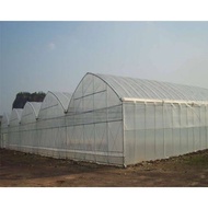 ♞UV PLASTIC ROOFING / GARDEN PROTECTION / PE sheets for greenhouse wide sizes