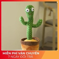 [SALE] Dancing Cactus, Mimicking Cactus