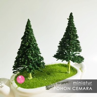 FIR TREE MODEL / FIR Tree Diorama - 8 cm