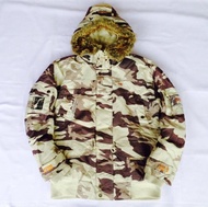 Geographical Norway