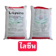 L-Lysine Ajinomoto Amino Acid For Animal Growth Chickens Ducks Pigs Cows Fish Shrimp Dogs Cat Protei