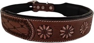Leather Dog Collar in Western Design, Handmade, Trendy, Robust, Wide (XS 9-11 Inches)