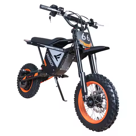 FREEBOY Y66 Adult Electric Bike, 48V30Ah Battery, Hydraulic Disc Brake, Front Hydraulic and Rear Spr