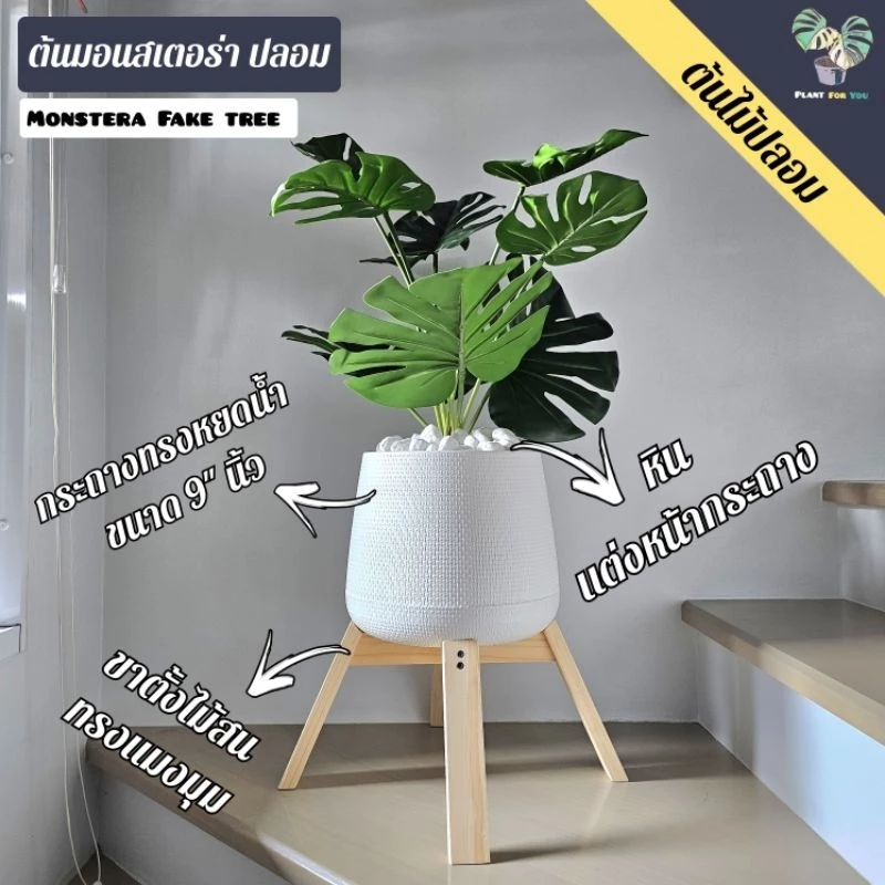 ต้นไม้ปลอมเกรดพรีเมี่ยม ต้นมอนสเตอร่าปลอม สูง 80 ซม. (fake tree) พร้อมกระถางครบชุดพร้อมโชว์