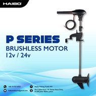 P Series Brushless Motor 12v / 24v Electric outboard Motor