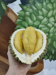 BNT - 164 Durian Fresh Musang King - Utuh Bulat
