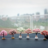 Set hàng cây bày taplo xe decor bàn làm việc đỉnh màn hình quà tặng