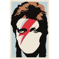 David Bowie Poster Condo Decor Room Decoration Picture In The Wall Of A Gift