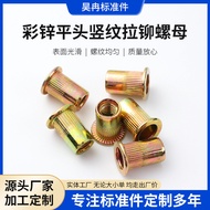 Flat Vertical Rivet Nut Rivet Nut Flat Vertical Rivet Nut Large Side Vertical Grain Knurled Rivet Nu