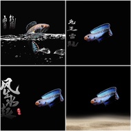 HD customized waterproof fish tank background aquarium mural 3D wallpaper landscaping decoration