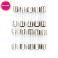 Cheesenm 10pcs Glass Tube Fuse 5mm x 20mm 1.6A T1.6A 250V Slow Blow 1.6Amps SG