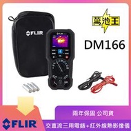 【萬池王 電池專賣】下標當天馬上出貨！ FLIR DM166  交.直流三用電錶 + 紅外線熱像  現貨在店！