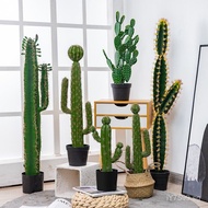 Decorative Cactus Green Plant Living Room Ornament ins Artificial Potted Plant High-End Fake Flower 