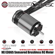 XC-ESC E3665 Sensored Brushless RC Motor 2-3S/2-4S LiPo 4000KV/3300KV/2500KV for RC Cars