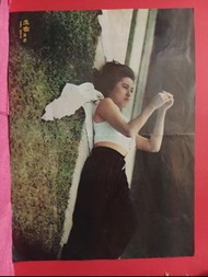 李麗珍 🌹  拉頁海報 🌺 雜誌彩頁 🌹  A3 SIZE  🌺 🦋🍀🍀🍀🍀🌹 T10