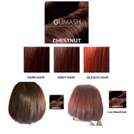 GUMASH Nourishing Hair Color [ Wuduk & Shariah Compliance ]