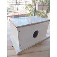 NETS BOX WITH FORMICA FOR LOVE BIRD