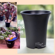 Tall black plastic pot succulent pot tall plant pot