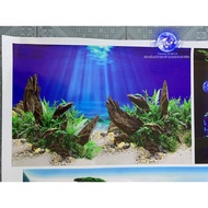 3d painting. stickers for aquariums, arowana fish tanks (back painting)