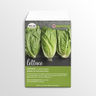 Rafael RZ Cos Pelleted Lettuce Seeds