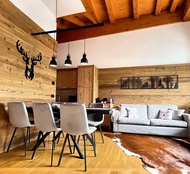 Dolomiti Loft: Alpine Design & Mountain View