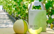 【預購！期間限定 阿露斯洋香瓜單入禮盒(1.8kg/顆)】香甜多汁、最頂級的綠肉哈密瓜