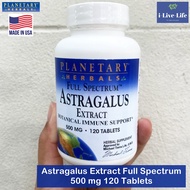 อึ้งคี้ Astragalus Extract Full Spectrum 500 mg 120 Tablets - Planetary Herbals ปักคี้ หวงฉี