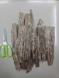 Agarwood Gaharu Gred B 500gram Rm65
