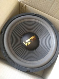 speker Canon 10 in Wofer
