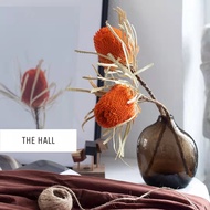 Dry Flower Banksia/Dried Flower King Protea flower