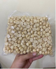 500gr250gr100gr nhân hạt macca VỠ size to nhân hạt macca đã sấy sẵn ăn liền nhân macca dùng làm sữa 