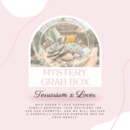Terrarium Kit Mystery Box | Curate your own!
