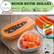 5 biji benih BETIK SEKAKI HONG KONG Lebat papaya seeds repacked