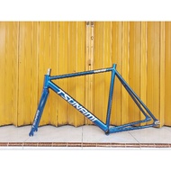 Custom Tsunami Fixie Frameset Ready To Send