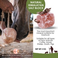 2-3kg Animal Himalayan Lick Salt Licking Salt Block Mineral Salt for Goat Cattle Horse Farm