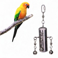 [trdfdv] Parrot Cage Bite Toy Heavy Duty Stainless Steel Swing Bird Playground Perch for Cockatiel B