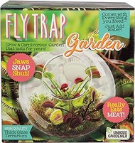 Grow Your Own Fly Trap with Our Terrarium Kit - Fun and Easy to Grow - Plant A Carnivorous Garden That Will Last for Years - Watch Jaws Snap Shut