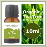 Lavender Breeze Aroma - 有機茶樹100%純精油 (10ml) (Melaleuca alternifolia) #8083