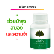 แปะก๊วย สารสกัดจากใบแป๊ะก๊วย จิงโกลา Ginkola ความจำเสื่อม เวียนหัว เวียนศรีษะ