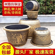 Flower Pot Thickened Special Pot Extra Large Water Lily Resin Garden Fruit Tree Flower Pot Iron Tree