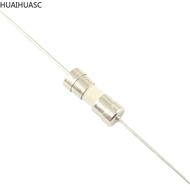 10pcs Ceramic Fuse 3.6*10mm 3.6x10mm Tube Fast Slow Blow Time Delay Axial Lead Links 250V F T 1A 2A 