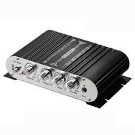 YIYUE | Subwoofer Amplifier 2.1 Channel Car Amplifier